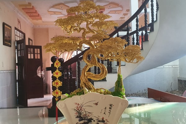 Cây Bonsai Tài Lộc