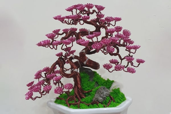 Dáng Bonsai mềm mại