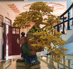 Chú tiểu và Bonsai thác đổ